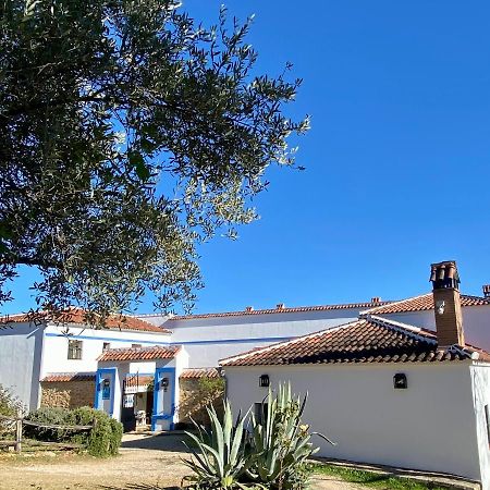 El Molino De La Quinta Apartment Constantina Exterior photo