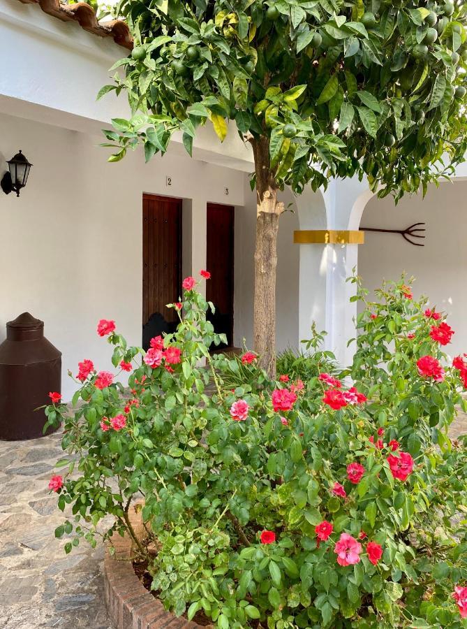 El Molino De La Quinta Apartment Constantina Exterior photo